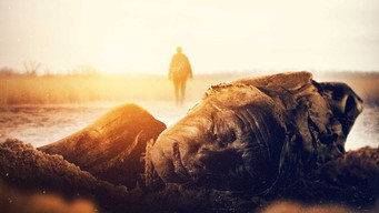 Ancient Bodies: Secrets Revealed (2024- )
