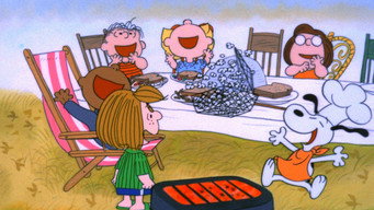 A Charlie Brown Thanksgiving backdrop 3