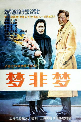 Cartell de 梦非梦