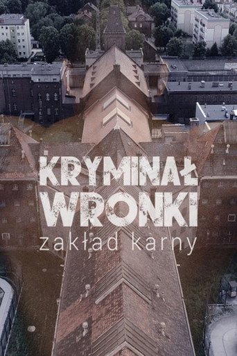 Kryminał Wronki (2019)