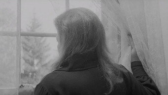 #13 The Honeymoon Killers