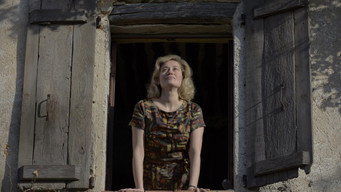 Galeria 3 - Violette