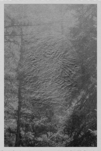 Out From the Egg poster