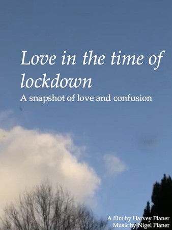 Love In The Time Of Lockdown poster