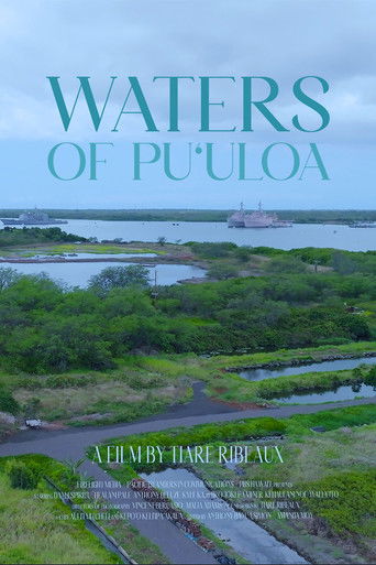 Waters of Puʻuloa