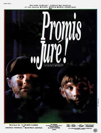 Poster of Promis... juré !