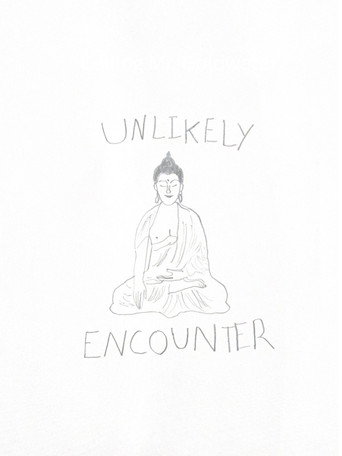 Unlikely Encounter