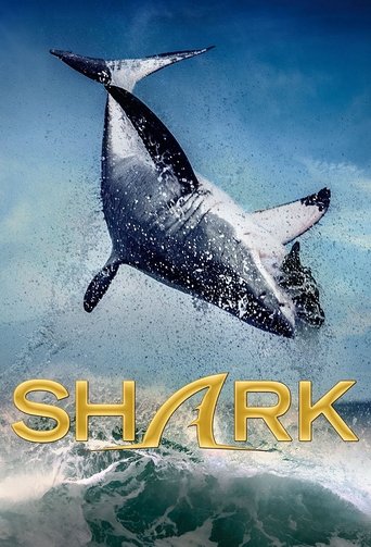 Shark: Season 1