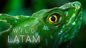 Wild Latam (2020- )