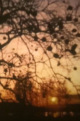 Sole Sole Sole (1973)
