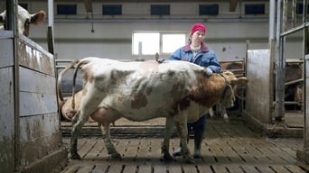 Galeria 3 - Oro blanco