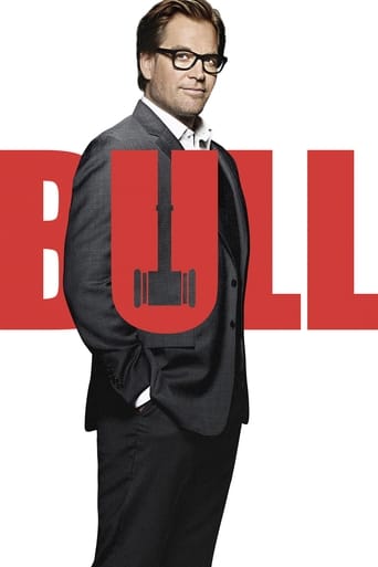 Bull Poster