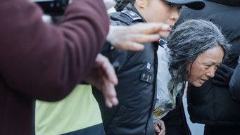 Galeria 3 - Inocencia