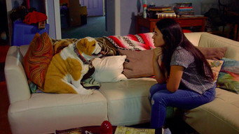 #4 Sam and Elvis
