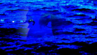 Sibyl media image
