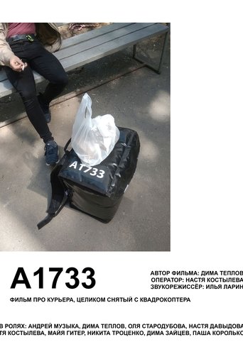 A1733 (2023)