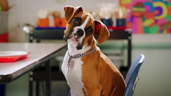 Escuela de cachorros T1E14