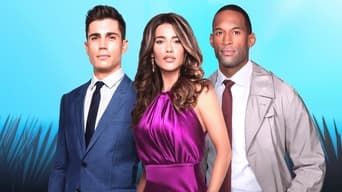 The Bold and the Beautiful - 28x01