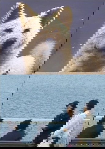 I Have No Memory of My Direction (2005) I Have No Memory of My Direction (2005)