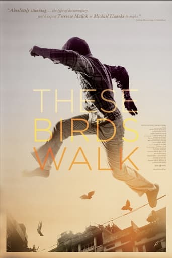 Poster för These Birds Walk