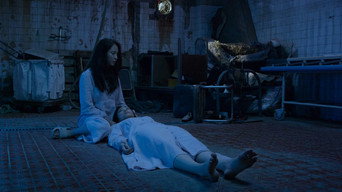 #24 Розлючений бик