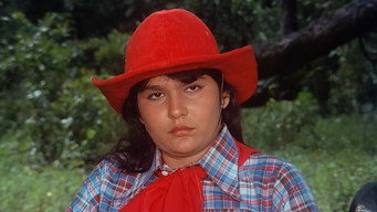 All Rounder (1984)