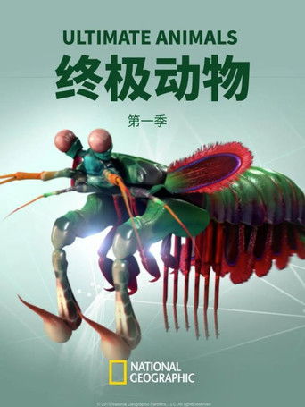 Ultimate Animals poster