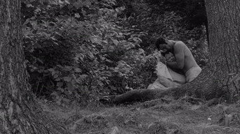 #33 The Honeymoon Killers