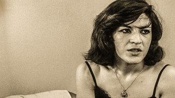 The Brick and the Mirror (1965)