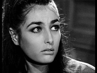 Episode 7 — Episode 7