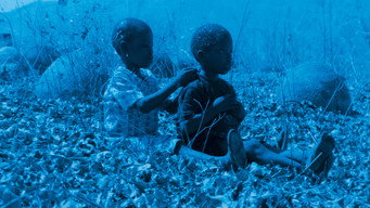 Blue Bird (2011)