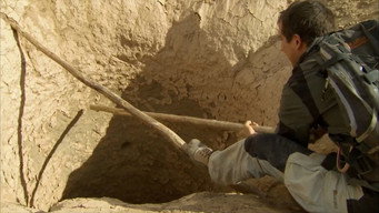 El último superviviente T4E11