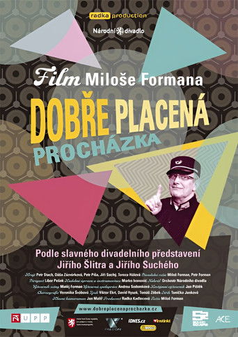 Dobře placená procházka (1966)