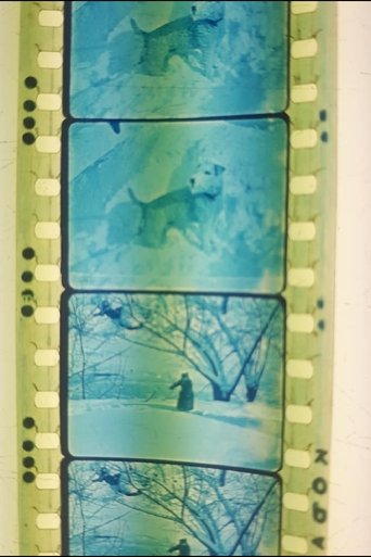 When Winter Comes (1921)