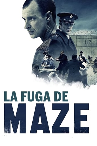 Poster of La fuga de Maze
