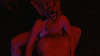 #7 Nightsiren
