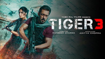 #17 Tiger 3