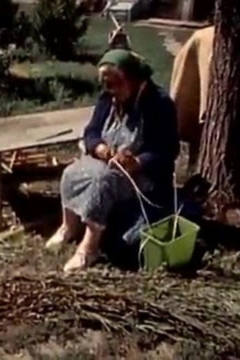 The Earth is Our Home