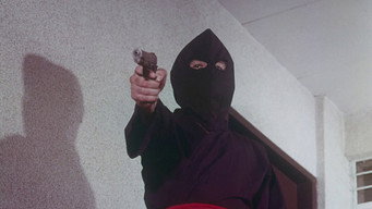 Ninja Assassins (1976)