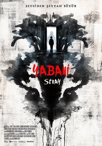 Yabani - Stray