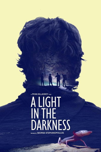 A Light in the Darkness