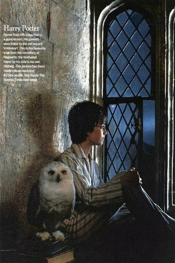 Harry Potter — Posters 24