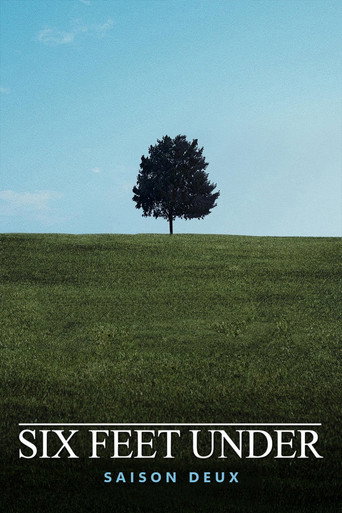 Six Feet Under - S2 - Épisode 2 : La vie ne tient qu'à un fil - Affiche
