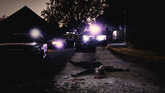 The Duckpond (2019)