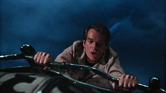 #27 The Love Bug