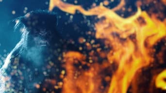 Galeria 2 - Cazadores de hombres lobo (The Hunting)