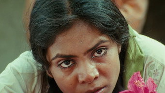 Mission Tiger (2016)