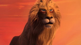 Lion media image