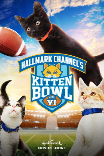 Kitten Bowl VI poster