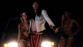 Galeria 4 - Dead Ant